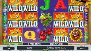 Flowers - 10 Free Spins x3 Multiplier!