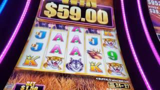 Buffalo Grand slot machine. **Bonuses and big win line hit**