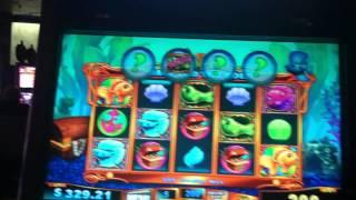 Goldfish Race for the Gold Slot Machine Bonus - Blue Fish