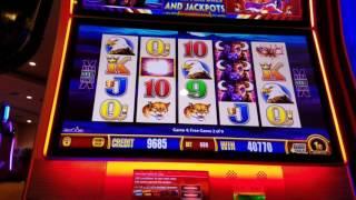 Instant Jackpot! Double Bonus! Big wins on Super Free Games!  All In One