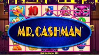 MISS KITTY GOLD Video Slot Casino Game with a MR CASHMAN SUITCASE BONUS