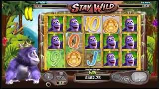 Gorilla Go Wild Slot - Stay Wild Big Win - Nextgen