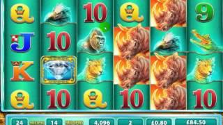 Raging Rhino slot - £10 deposit leads to this.....Dunover wins!