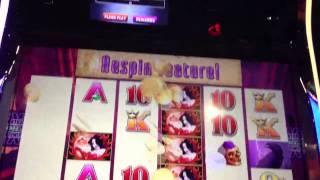 Wicked Winnings III Big Win