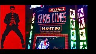 •ELVIS LIVES•SLOT MACHINE BONUS•WILD STALLION BIG LINE HIT•LIVE PLAY, CASINO GAMBLING!!