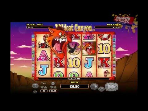 Wild Cat Canyon - 10 Free Spins!