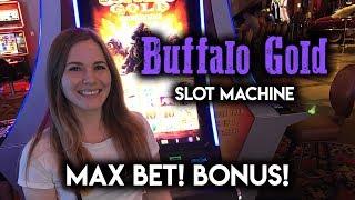 Max Bet Buffalo Gold Slot Machine! BONUS!