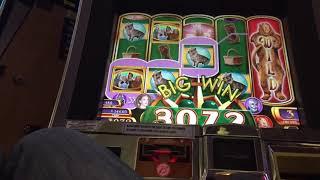 Huge win on ruby slippers slot (max bet)