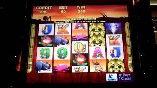 100 Lions slot machine bonus win