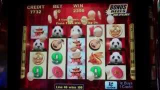 Wild Panda Slot Machine Bonus - 5 Free Games Feature - Nice Win