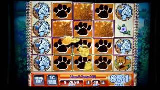 Tiger's Realm Slot Machine Instant Hot Hot Respin Win (queenslots)
