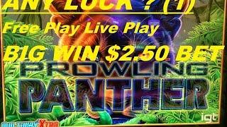 •ANY LUCK ? Free Play Slot Live Play (1)• •Prowling Panther Slot machine (IGT)  BIG WIN •$2.50 Bet