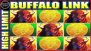 I FED A TON OF MONEY TO POP THE FEATURE! AND THIS HAPPENS HIGH LIMIT BUFFALO LINK SLOT MACHINE