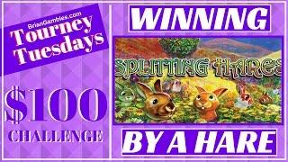 Winning by a Hare •NEW Tourney Tuesdays LIVE PLAY• Slot Machine Pokies