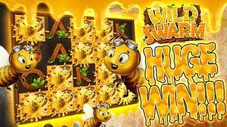 Wild Swarm HUGE Hit!!!