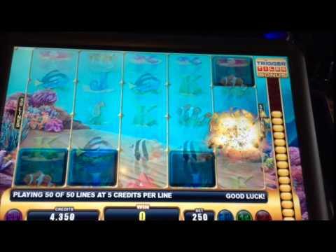 Wild Mermaid Live Play with $100 ** SLOT LOVER **