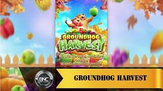 Groundhog Harvest slot by PG Soft