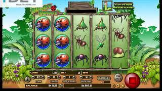 iHABA Buggy Bonus Slot Game •ibet6888.com