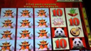 WILD PANDA  slot machine bonus win