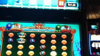 Goldfish Slot Machine Bonus - Race for the Gold