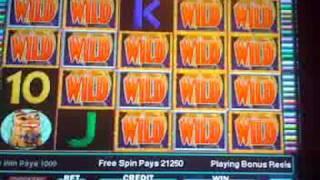 IGT- WILD WOLF slot machine BIG WIN!