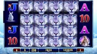 6x4 Reels SNOW LEOPARD™ Slot Machine Demo By WMS Gaming