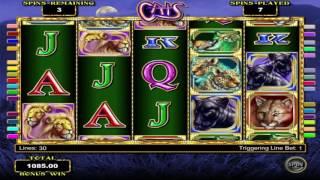 Free Cats Slot by IGT Video Preview | HEX