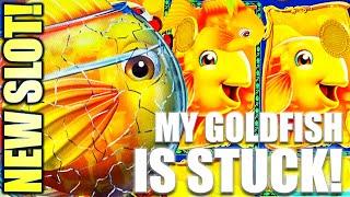 ⋆ Slots ⋆NEW SLOT!⋆ Slots ⋆ SUPER BIG WIN! GOLD FISH FEEDING TIME Slot Machine (LIGHT & WONDER)