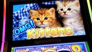 OMG! KITTENS | WMS - Slot Bonus Feature *NEW GAME*