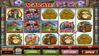 FREE Karate Pig  ™ Slot Machine Game Preview By Slotozilla.com