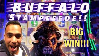 BIG WIN on Buffalo • & Mighty Cash GRAND flashback!  EEEEE •