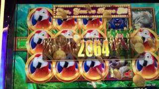 How Far Macaw Magic Can Take Me?? Fly Birdie!!!! Macaw Magic Slot Amazing run! BIG WINS!!!