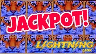 Lightning Link Jackpot Caught Live on Camera!