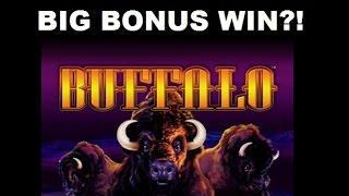 HUGE BONUD WIN!! BUFFALO SLOT MACHINR Aristocrat! What did I win?
