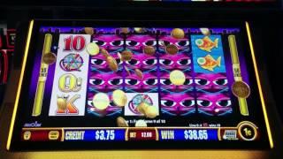 Wonder 4 Jackpots Miss Kitty Slot Machine Bonus