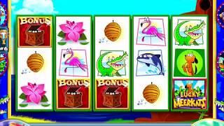 LUCKY MEERKATS Video Slot Casino Game with a LUCKY MEERKATS BONUS VIDEO