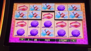 Another omg kittens free spins slot machine