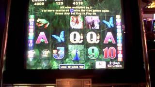 Peacock Magic slot machine by Aristocrat video bonus win at Borgata