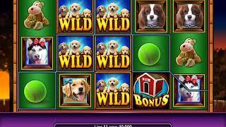 PAWPALOOZA Video Slot Casino Game with a PAWPALOOZA FREE SPIN BONUS