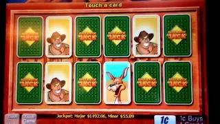 Going for Major Jackpot #13 on Outback Jack! Live play, bonuses with my #1 fan, Aruna! *big wins*