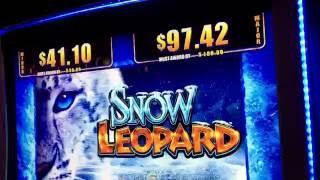 Snow Leopard Slot Bonus - WMS