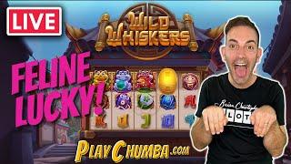 I'M FELINE LUCKY!!! ⋆ Slots ⋆ Check out this NEW GAME ⫸ Wild Whiskers