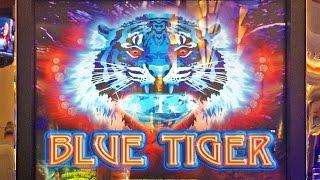 Blue Tiger slot machine, is the Bonus worth trying for?