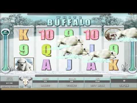 Free White Buffalo slot machine by Microgaming gameplay ★ SlotsUp