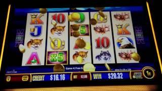 Wonder 4 Jackpots Buffalo Slot Machine Bonus - Coin Show