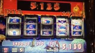 Goldfish II Slot Machine Line Hit - Big Win!!!