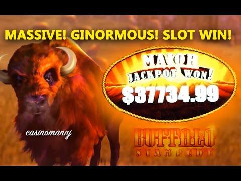 $37,734.99 BUFFALO STAMPEDE SLOT MAJOR PROGRESSIVE WIN!!! - MASSIVE WIN! - Slot Machine Bonus