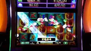 Raging Rhino Slot Machine - Min Bet Line Hit - Cheapest Gem Show Ever!