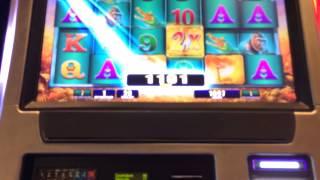 WMS' Raging Rhino Slot Machine - Surprising Nice Win On Just Kings & Aces