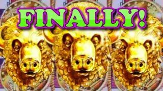 Count the HEADS! *My BIGGEST Buffalo Gold Slot Win YET! | Casino Countess
